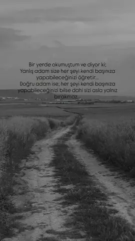 🕊️🕊️🕊️