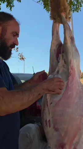 الغوالي والريف السوري @gazealslom #منسف #سفير_المنسف #mansaf #لا_للبقدونس  الاردن #جميد  الفحيص  يمه_شمعه 