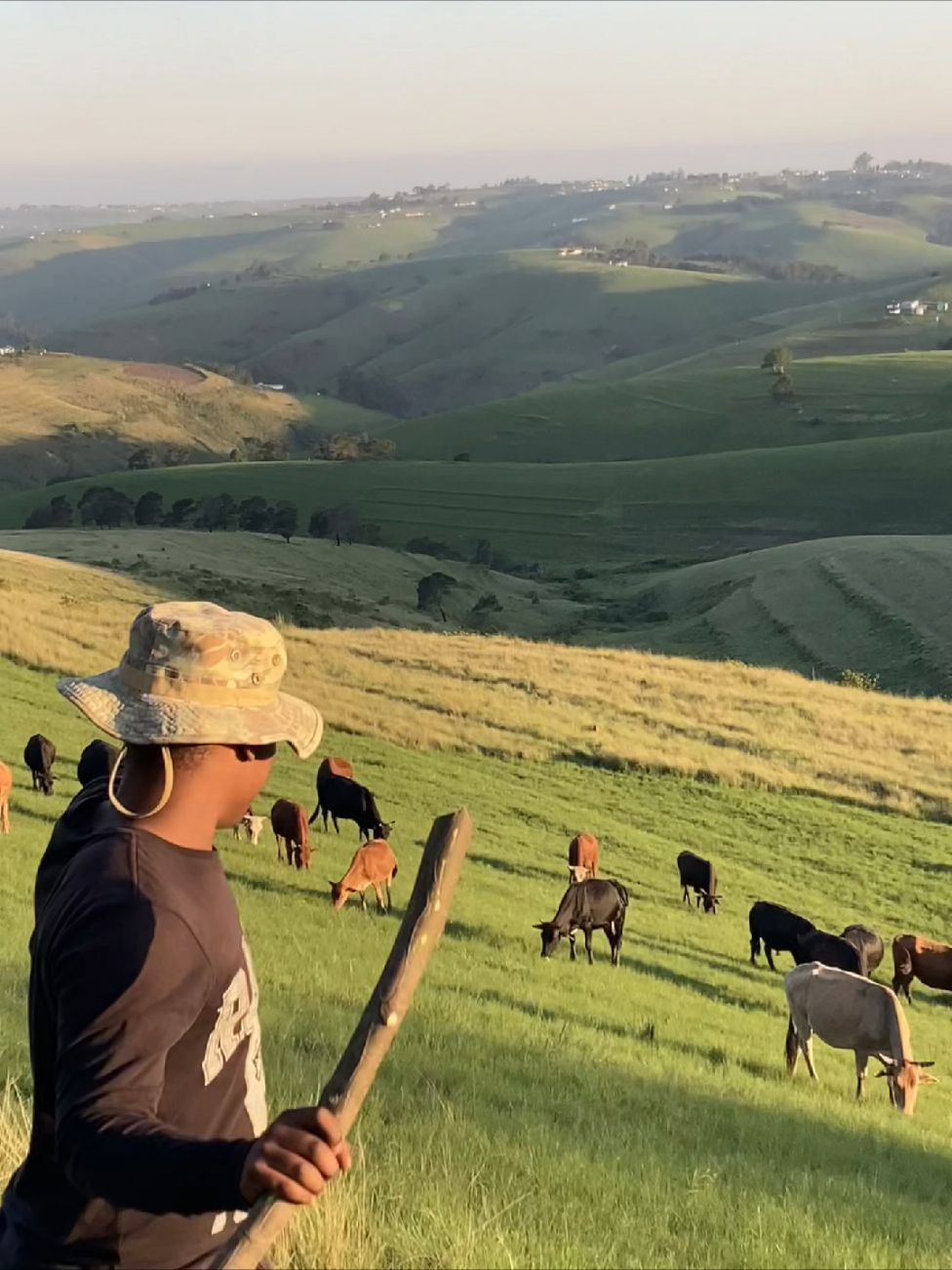 Emampondweni 🏡 #village #easterncapetiktok  #Mbizana #ezilalini #wildcoast 