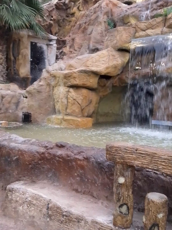 #الشعب_الصيني_ماله_حل😂😂 #تيارتية_و_نموووت_عليكم___قانون #tiaret 