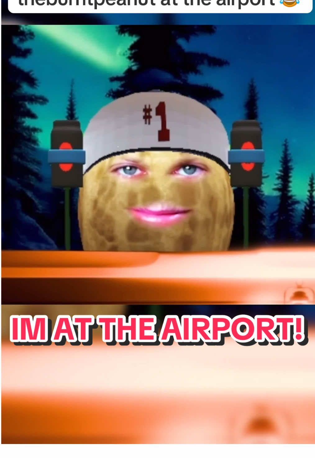 Peanut helps a fan out by saying all the wrong words while in an airport ✈️ #theburntpeanut #peanut #plane #airport #banned @theburntpeanut 