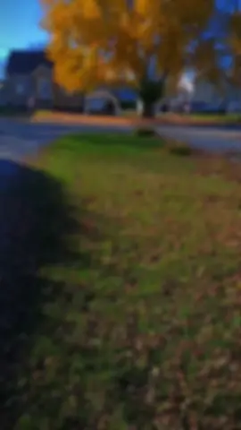 #canada_life🇨🇦 