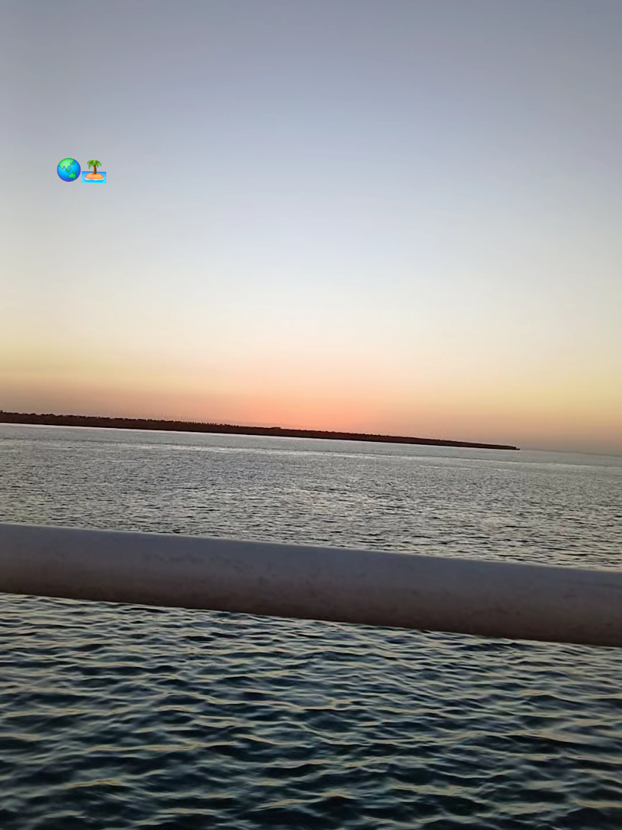 ..... #djerbaladouce🌴🌴🌴☀️☀️☀️🌴🌞🏊 #battahjerba🇹🇳 