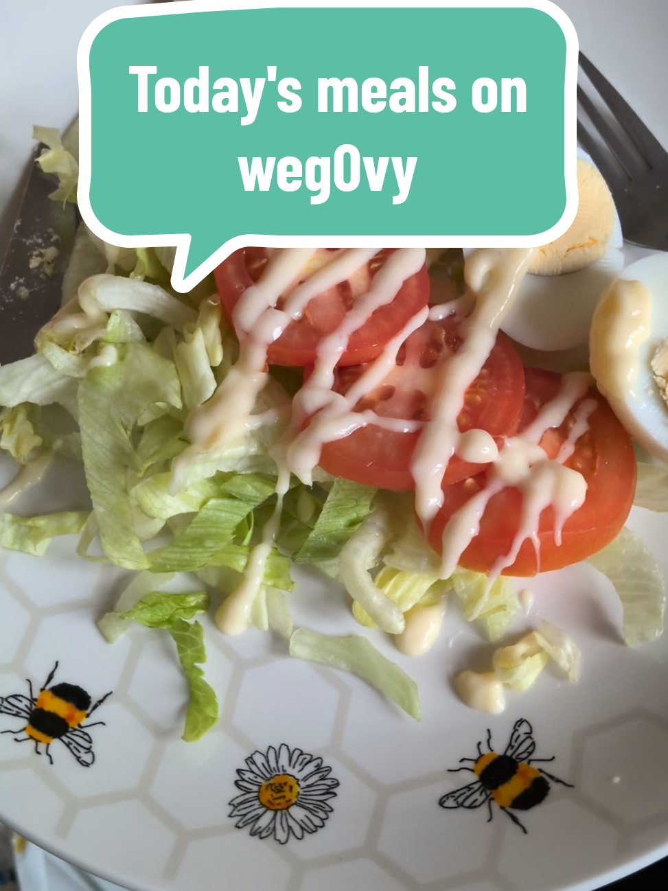 Today's meals on #wegovy - made the rice in my rice cooker and it's perfect every time!! 