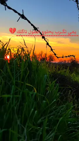 يمي تگرب يحلوو الطول تا گلك💔🤦#لايك__explore____💔🥺🥀_وتعليق_حلو #عباراتكم_الفخمه📿📌 #تصويري_احترافي_الاجواء👌🏻🕊😴 #تصويري📷 #فيديوهاتي_تصاميمي🎶🎬 