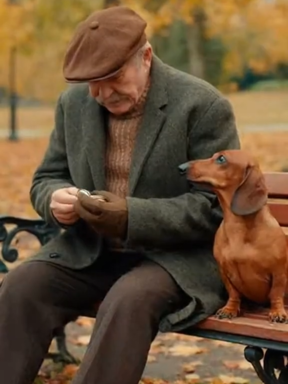 [1 часть] Такса тоже хочет снюс #такса #снюс #рекомендации #ai #rek 