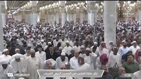 صلاة المغرب الشيخ محمد برهجي 8جمادى الأولى 1447هـ