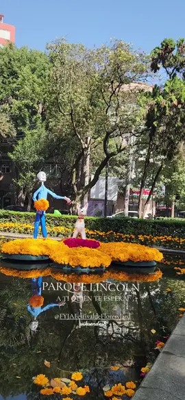 A TI QUIÉN TE ESPERA FYJA PARQUE LINCOLN  POLANCO CEMPASÚCHIL  MÉXICO CDMX 