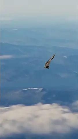 #usa🇺🇸 #usarmy #usanavy #usmilitary #usairforces🇺🇸 