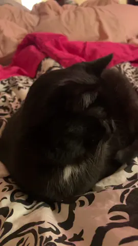 Light work no reaction 