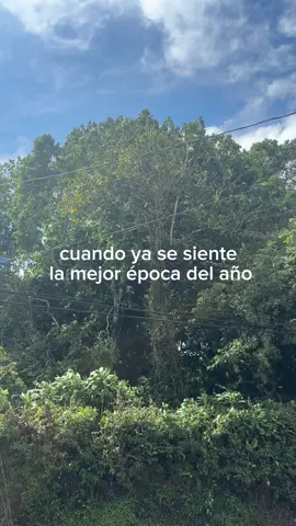 ya se siente meri xmasss  #navidad #elsalvador #parati #fyp 