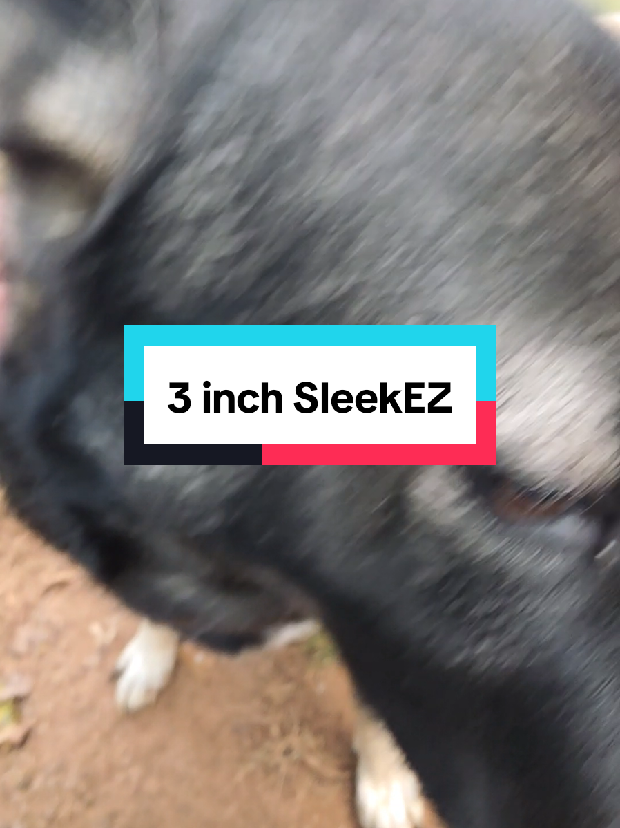 it works on horses, Dogs and cats. #petcare #petsupplies #cat #dog #horses