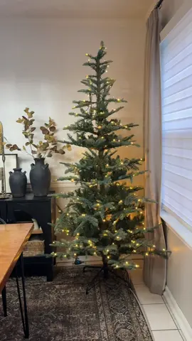 I just wanted y’all to know 😆. First Christmas tree is UP! #christmas2025 #vlogtober #kingofchristmas 