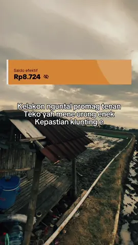 Cepak promag sak kamplek tenan ki cah#cwiimasaran #sragen24jam #cwiimasaransragen #fyp #fypppppppppppppp 