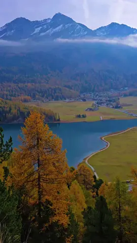 autumn in Switzerland  #switzerland🇨🇭 #السياحة_في_سويسرا🇨🇭 #herbst #الخريف 