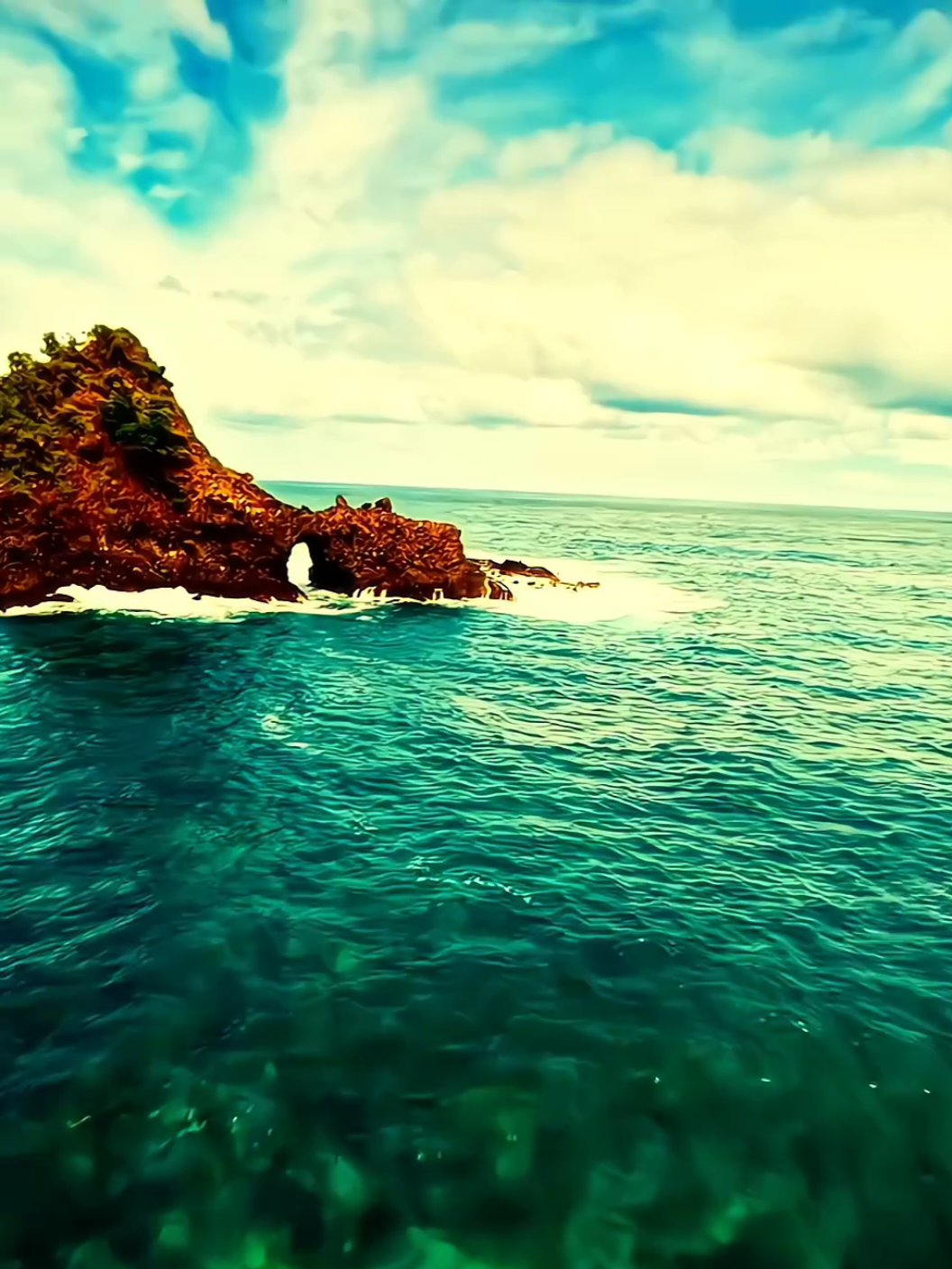 #aesthetic #nature #relax #moody #foryou 