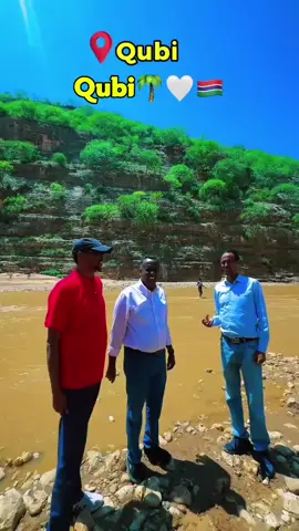 reer sacad tiktok ma jogan miya😂🔥#ogaadenia🇬🇲❣️ #shambal #dds #shilaabo🇬🇲 #makahiil_aar🦁🥷🇬🇲 