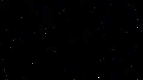 #يتقدر بقا الفيد دا يخواتيي😍☝🏻💞.  #مططرروؤشااآت_ياسمين_😍♪  #هاشتاج_اكثر_مشاهده  #استوريهات_واتس_♬♥ #اغنيه_شارب_ كاس_🥂🌎❤. 