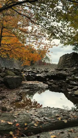 It was such a cold beautiful day 🥹 #magical #photoshoot #foryou #tennessee #spookyseason 