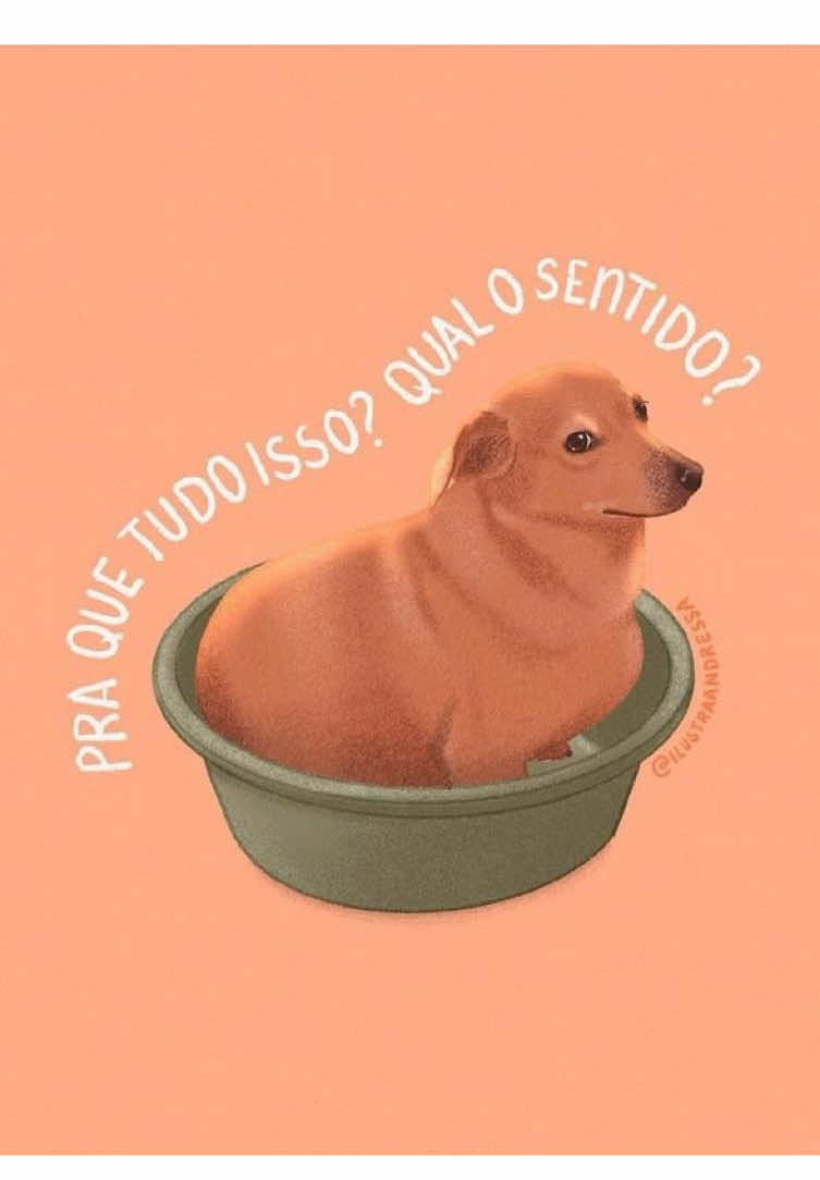 Operação Rio de Janeiro 