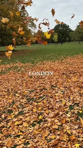 خريف لندن 🍂✨#london #travel #explore #لندن #قوالب_كاب_كات_جاهزه_للتصميم 