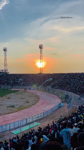 My Gallery #maankamahrez10 #somalitiktok #foryoupage #footballtiktok #stadiummogadisho🏟️ 