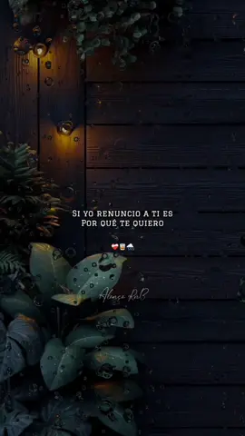 Un Día Dijeron ... ❤️‍🩹🥃🌧️ Huye de mi - Los Kipus - Letra #kipus #huyedemi #vals #octubre  #paratii 