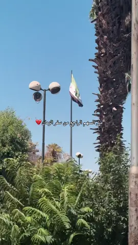 💔🥺 . . . . #متل_السهم_الراجع #سوريا🇸🇾 #like #folow #حلب 