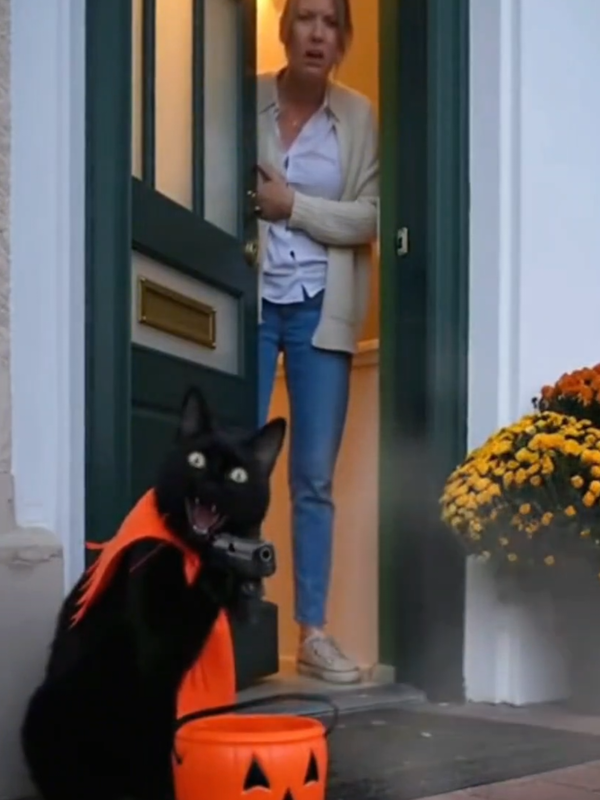 Katze mit Pistole 🔫 #cat #funny #sora #ai #fyp 