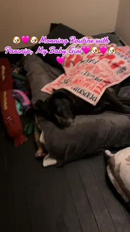 #dogsoftiktok #dogmomlife 