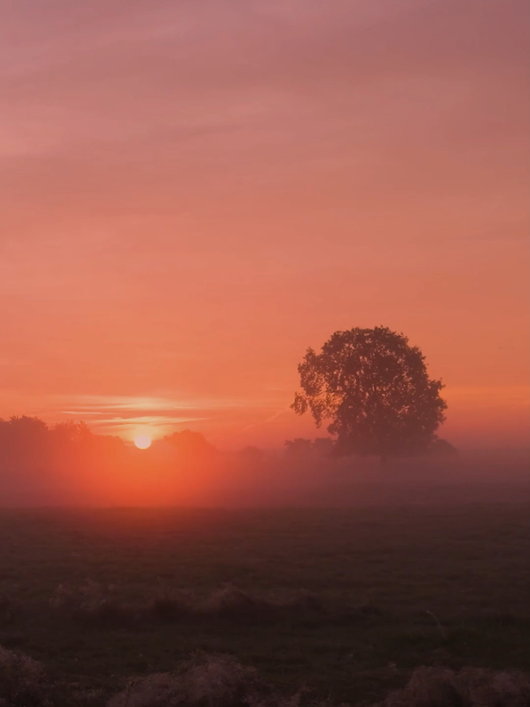 Önceliğiniz kendiniz olsun. #alıntısözler #alıntı #2025 #tiktok #keşfett #kesfet #hüzün #tiktokvideo #tiktokviral #viral #keşfetteyizzz #kitap #kesvet #söz #doğrusöz #quotes #duygusal #keşfet #anlamlı #anlamlısözler