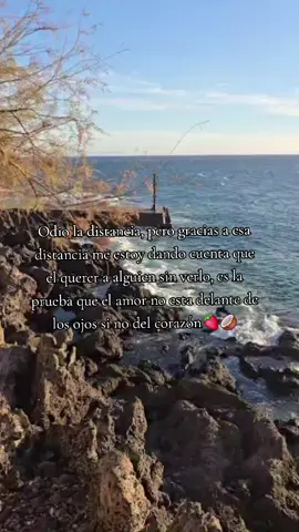 Y que a pesar de la distancia te voy a Querer✨️🥹 #Viraaal #Fyppp #ParaTiii #Distancia #Parejas 