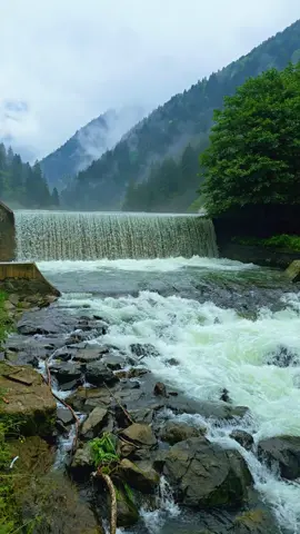 #ديمركابي #Demirkap #uzungöl #السياحة_في_تركيا #طربزون_اوزنجول 