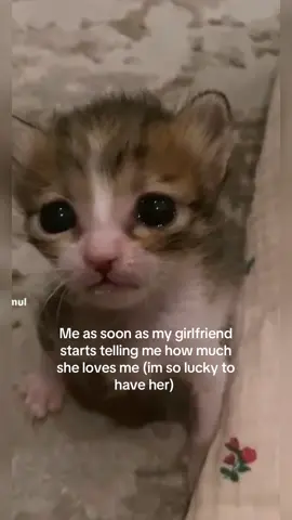 I love my baby so much i literally cry because i love her more than anything #wife #wlw #fyp #B #iloveher