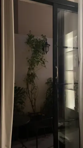 #foryou #fyp #explore 