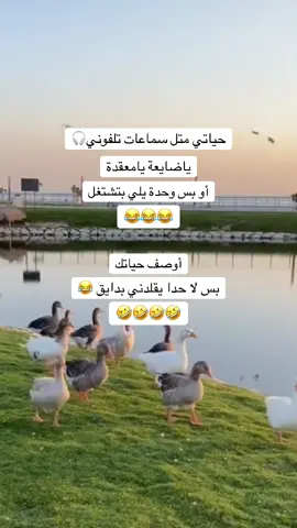 #الولايات_المتحدة_الأمريكية_ #سوريا🇸🇾_أمريكا🇺🇸 #لايك_متابعة_اكسبلور 