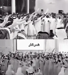 #alshammari #saudiarabia #qatar 