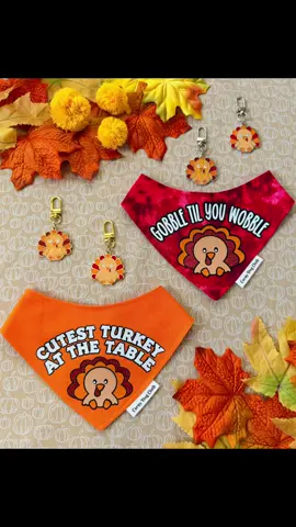 Turkey Day is coming! 🫢🦃 don’t let your pup be the only one missing out on the festivities this Thanksgiving 🥰 make sure to grab some cute accessories from our site 🫶🏻