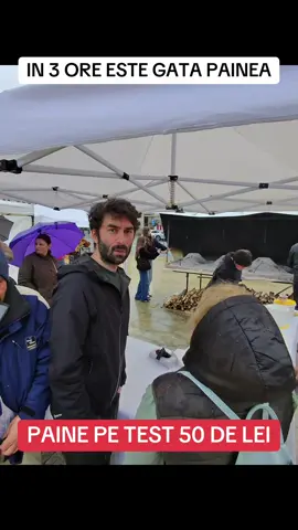 Paine in test 50 lei #paine #paineintest #craiova 