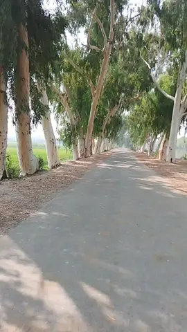 ھي ڪھڙو روڊ آھي جلدي ڪمينٽ م ٻدايو ✅ جاني