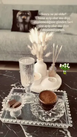 sonra ne mi oldu?  bana ayıp olur mu diye düşünmediğiniz günden beri size ayıp olur mu diye düşünmüyorum. . . . . . . .#kesfetolmabuyusu✨🔮 #storylikvideolar📌 #kesfetteyiz #kahvestoryleri #sunum 