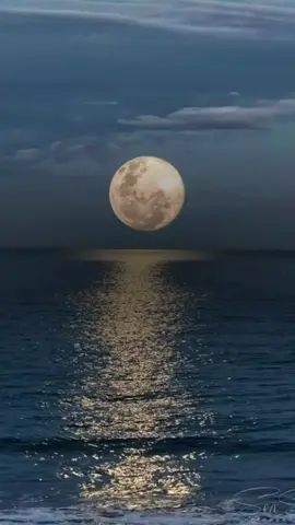 Relax Sound Quran #allah #Quran #foryoupage #fyppppppppppppppppppppppp #fyp 