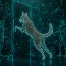 “He waits… because in his world, love never ends 🐾💔” #DogLove #PsychologyFacts #EmotionalStory #DogLoyalty #hearttouching 