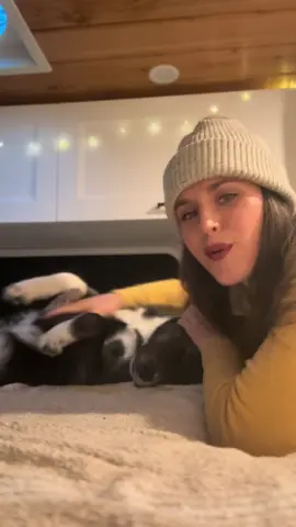 DJ memories 🐶❤️ Safe to say we are pretty locked in at this point. Friggin dog stole my heart.  #vanlife #rescuedog #vanlifediaries #travel #pet