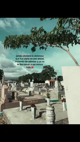 👤#paratii #tio #cementerio #teextraño 