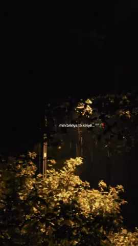 #typ min bêriya tê kiriyê 🥀