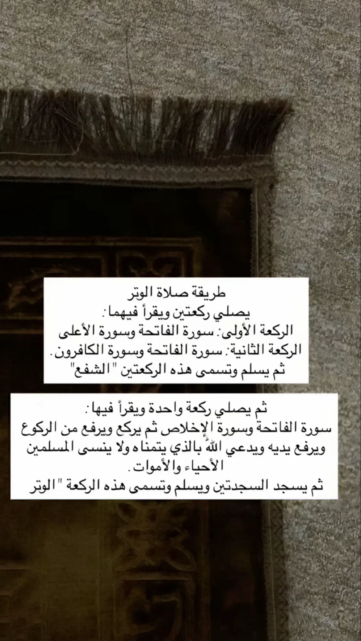 #صلاة_الوتر_جنة_القلوب #الصلاة_ثم_الصلاة_ثم_الصلاة #صدقة_جارية_لي_ولكم 