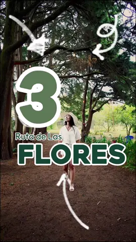 3 lugares de la Ruta de Las Flores para disfrutar del fin de semana. 🌸 ¿Ya conocías el tercero? La tradición de Los Canchules es una experiencia  que tenés que vivir en estas fechas especiales. 🙌 @Xpot @El Salvador Travel #diademuertosenelsalvador #lugareschivos #RutaDeLasFlores #quéhacerenelsalvador #dóndeirelsalvador 
