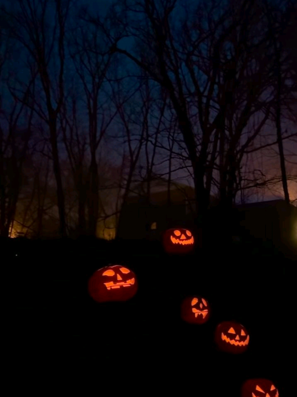 #HALLOWEEN happy halloween ♱ #happyhalloween #halloween #halloweeniscool #vibe #aesthetic #autumn #pumpkin #pipidastr #corpsebride #horror #screammovie 