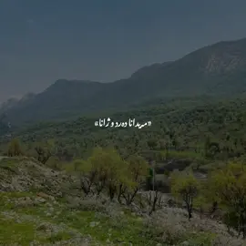 #kurdistan #kurd #barzan #active #viral 